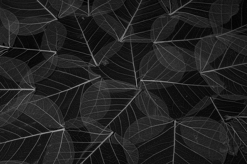 ambient dark background